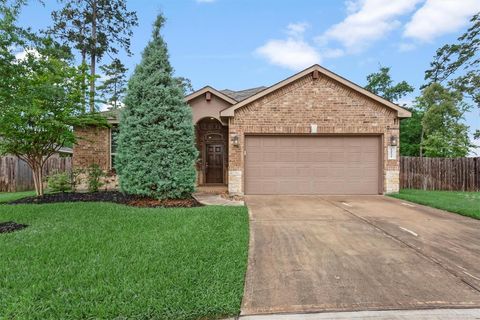 Single Family Residence in Conroe TX 14131 Wind Cave Court.jpg