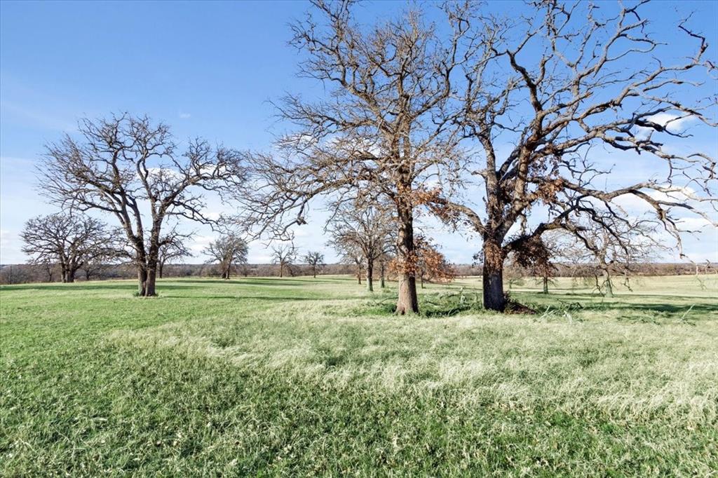 TBD Lot 9 Lcr 707, Kosse, Texas image 15