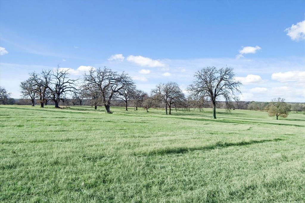 TBD Lot 9 Lcr 707, Kosse, Texas image 20