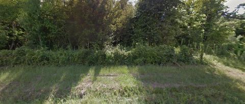 Photo of 2715 County Road 2134, Cleveland, TX 77327 (MLS # 48611088)