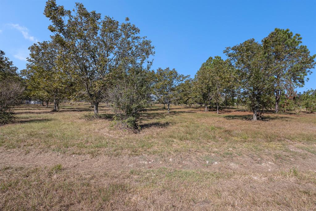 7613 Bobwhite, Brookshire, Texas image 9