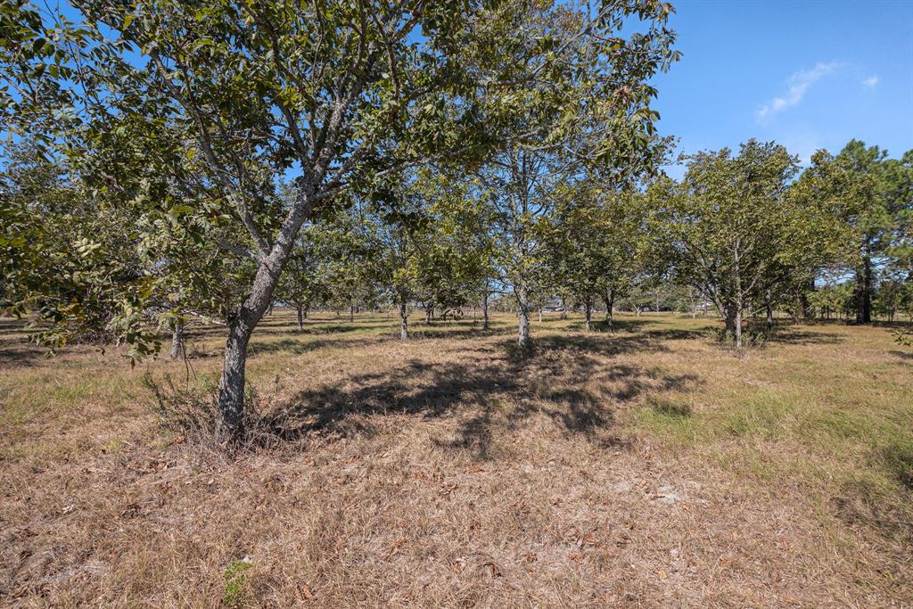 7613 Bobwhite, Brookshire, Texas image 1