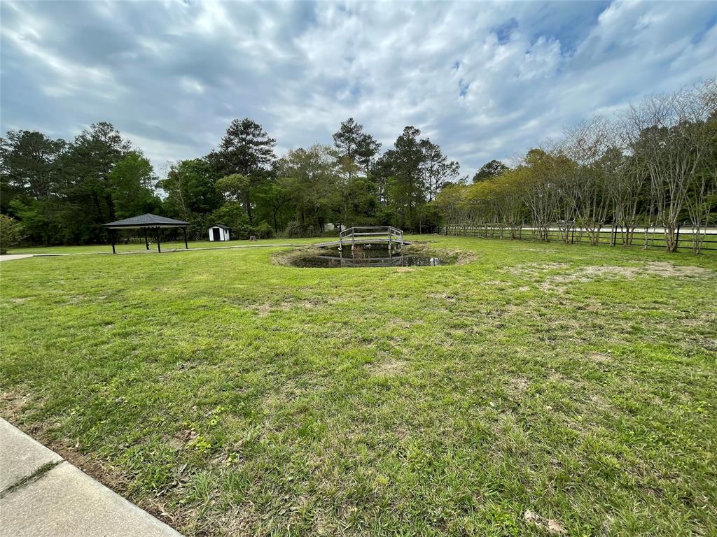 31423 Reids Prairie Road, Waller, Texas image 30