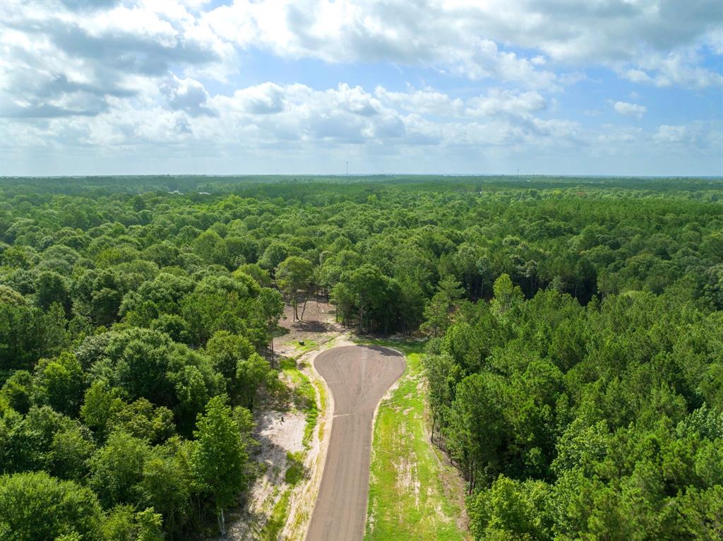 Lot 7 Stonebrook Drive, Livingston, Texas image 1