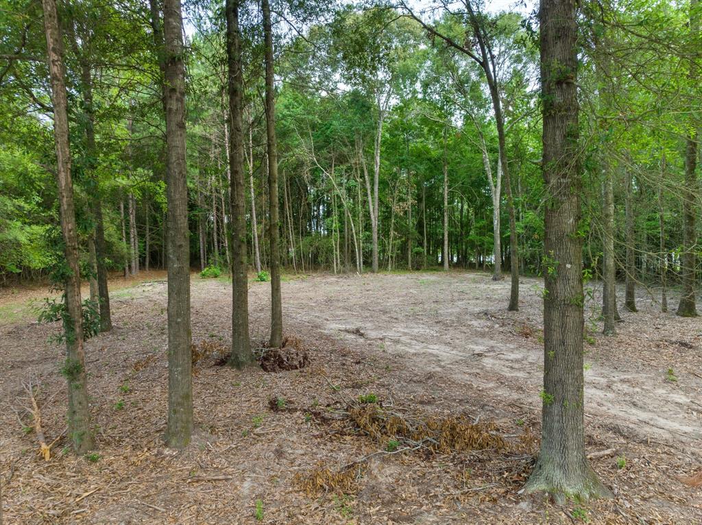 Lot 7 Stonebrook Drive, Livingston, Texas image 8