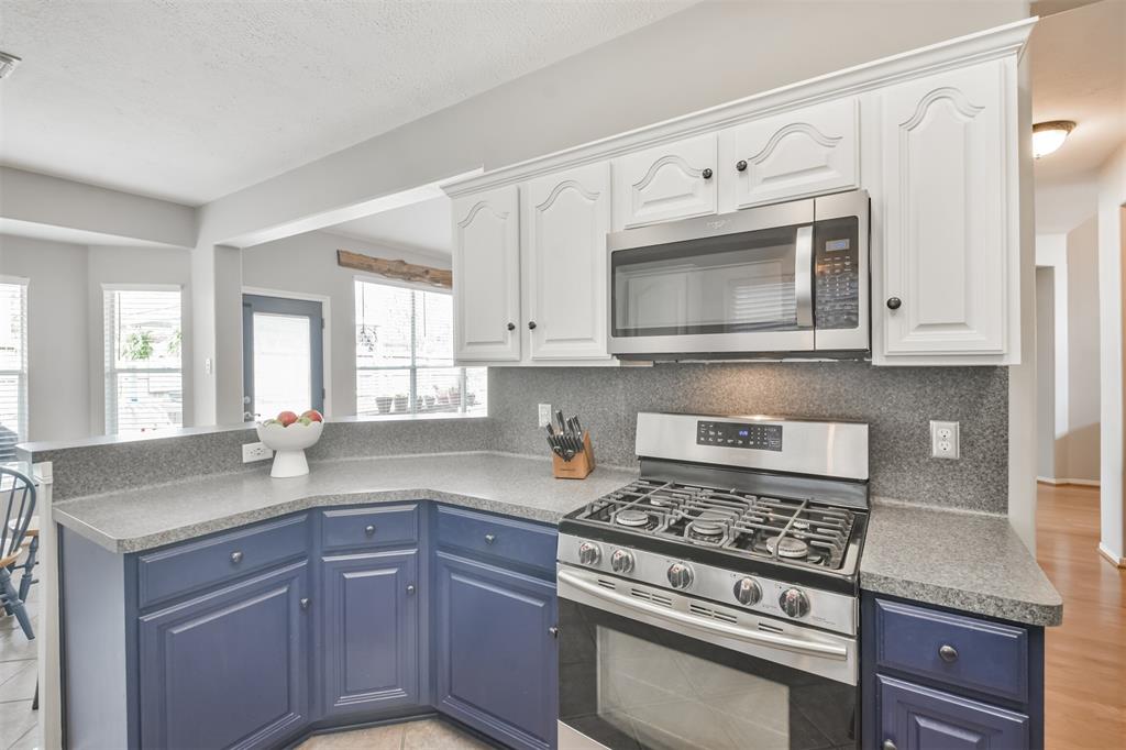 1731 Red Oak Terrace, Houston, Texas image 9