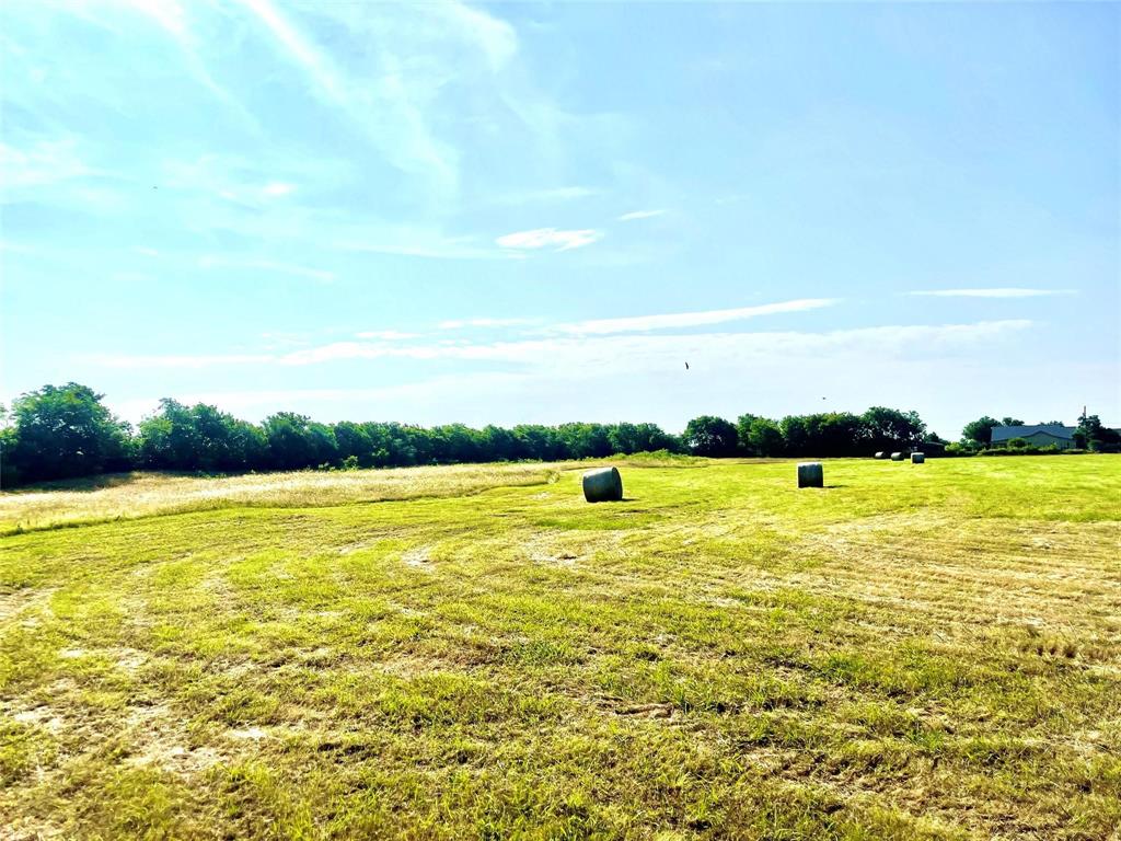 TBD Tx-171, Mexia, Texas image 13