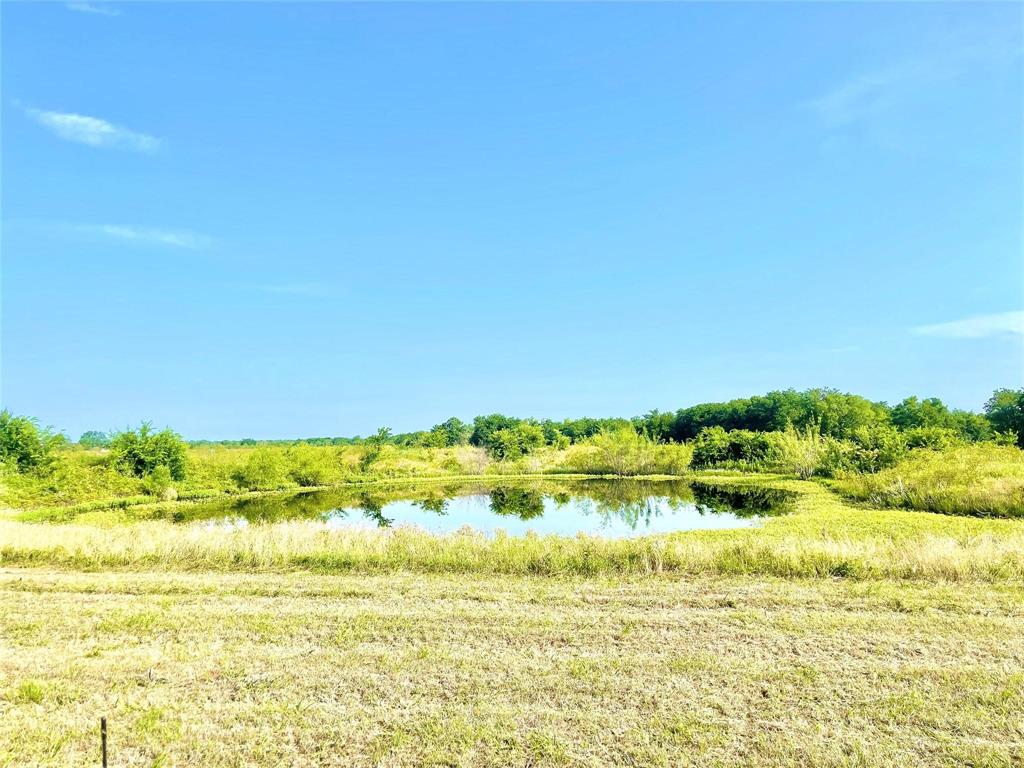 TBD Tx-171, Mexia, Texas image 1