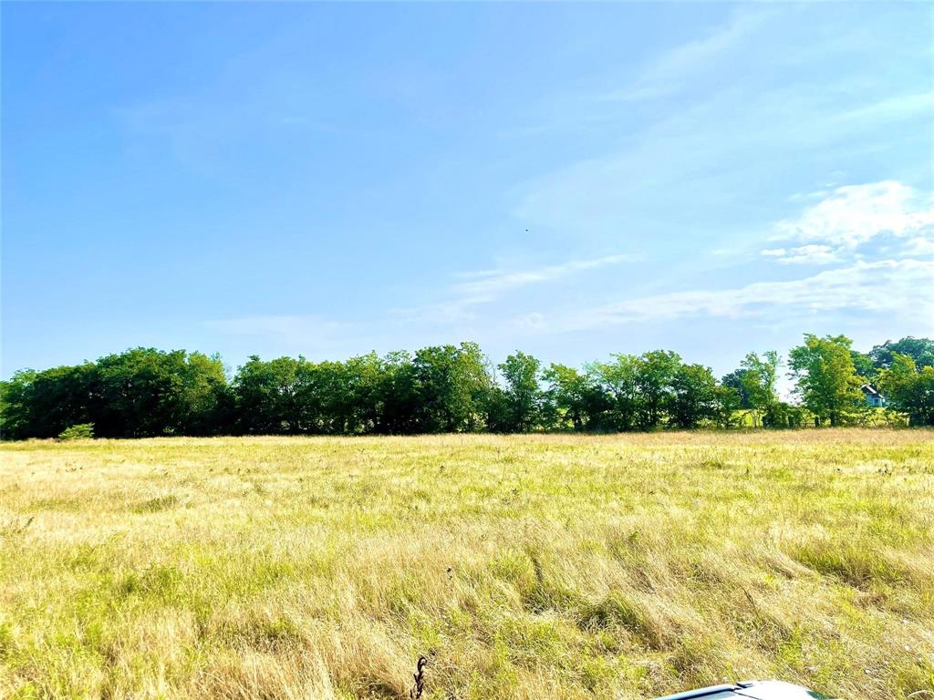 TBD Tx-171, Mexia, Texas image 12