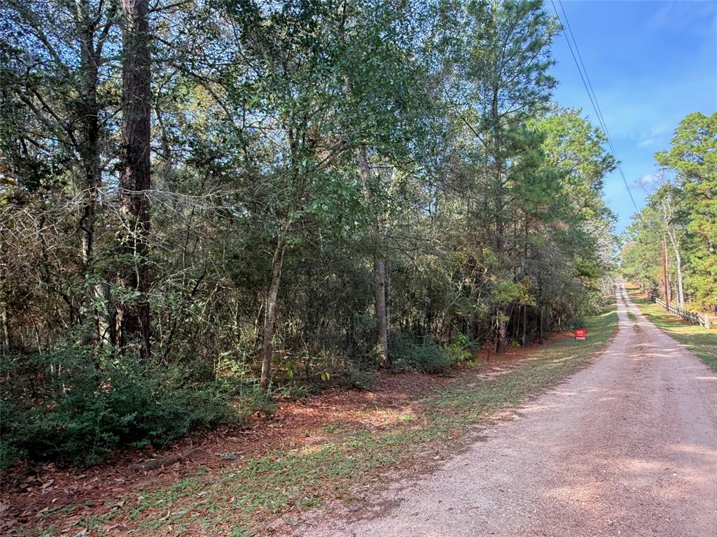 Serendipity Trail, Plantersville, Texas image 10