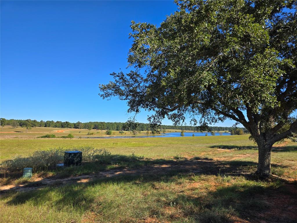 Lot 103 Lakeland Road, Hillister, Texas image 2