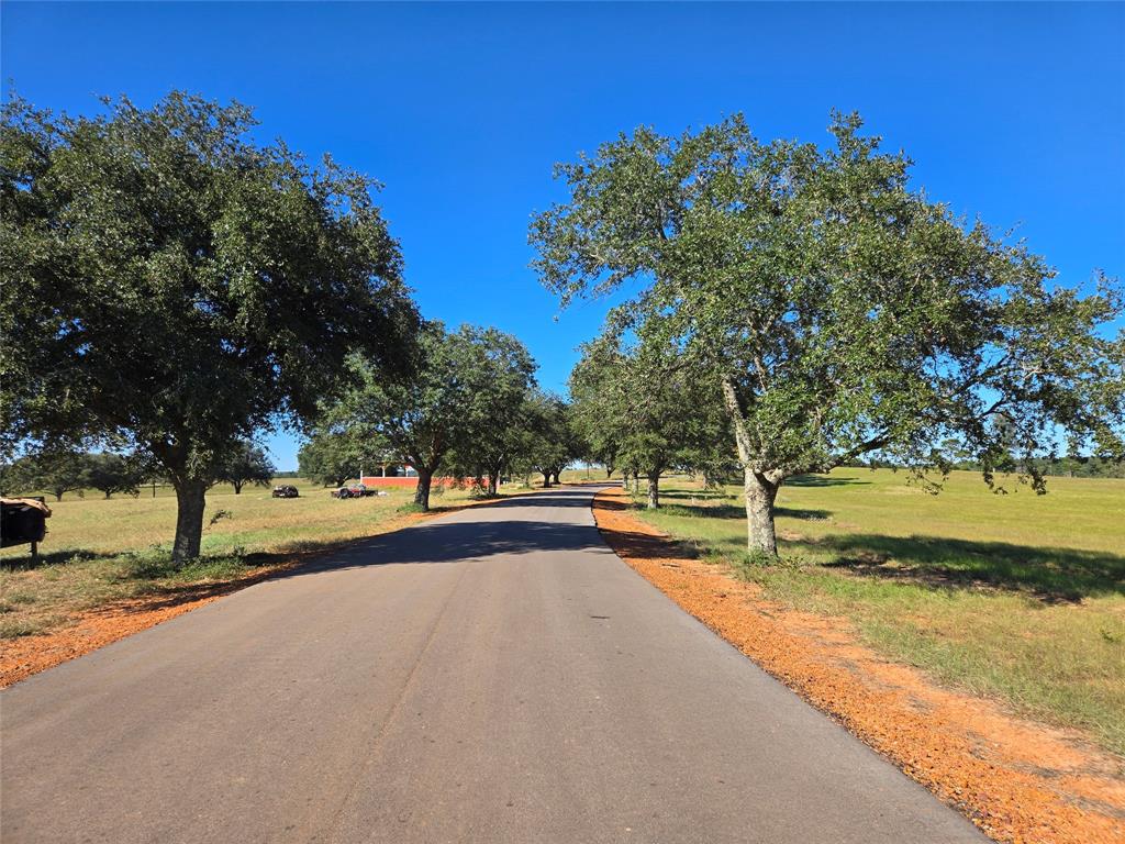 Lot 103 Lakeland Road, Hillister, Texas image 7