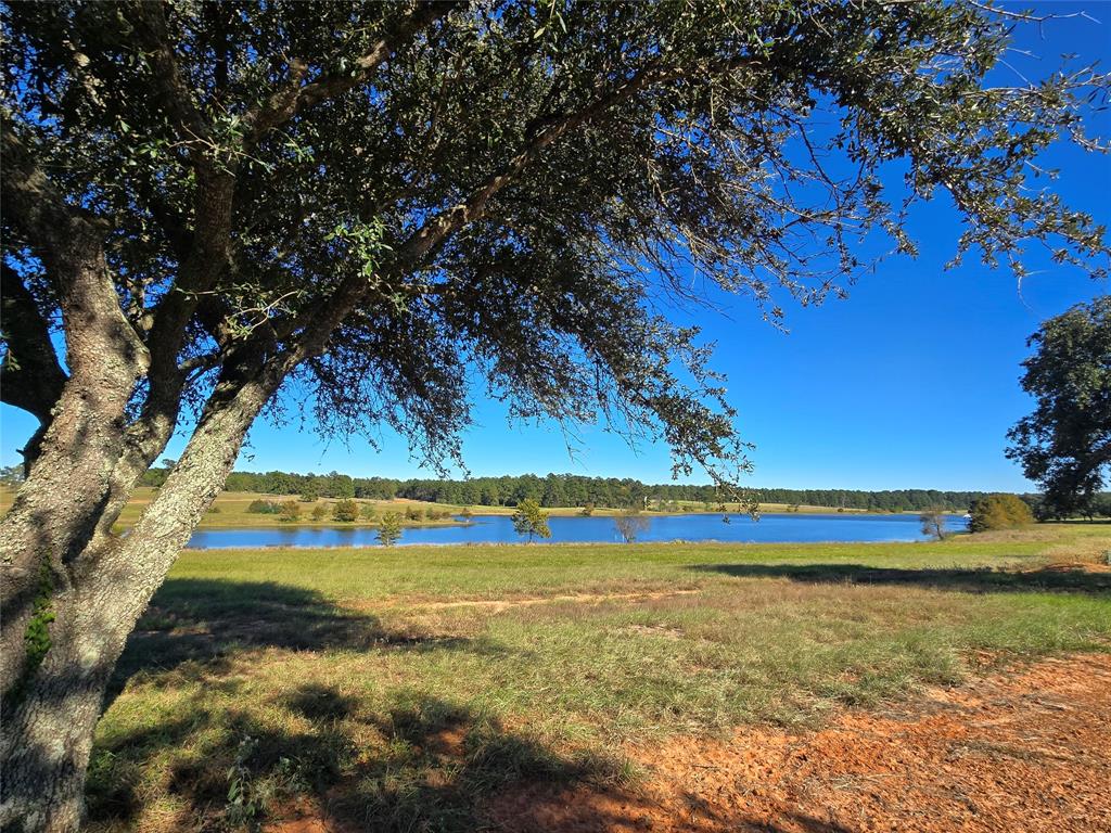 Lot 103 Lakeland Road, Hillister, Texas image 3