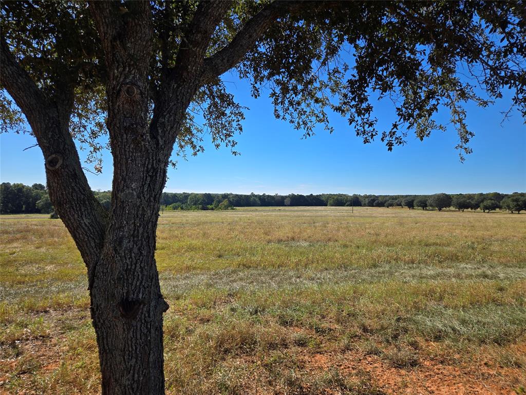 Lot 103 Lakeland Road, Hillister, Texas image 1