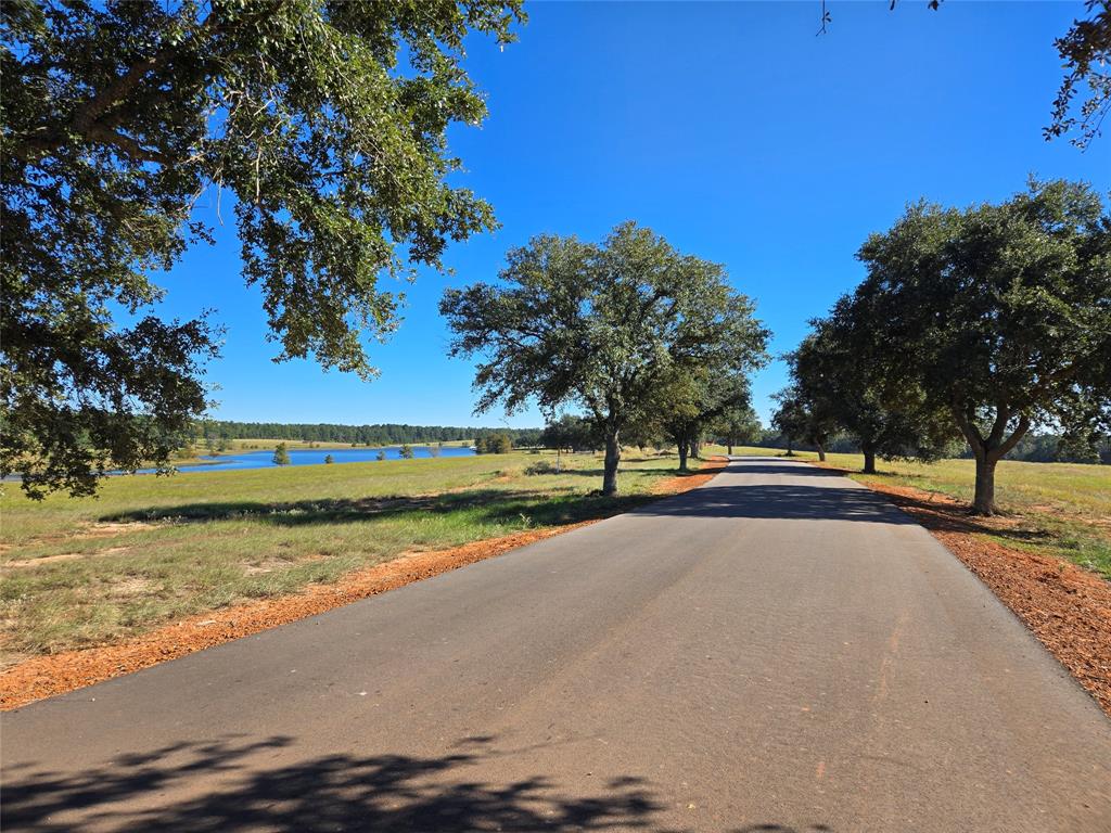 Lot 103 Lakeland Road, Hillister, Texas image 8