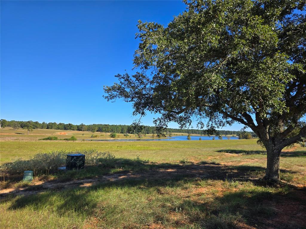 Lot 103 Lakeland Road, Hillister, Texas image 5