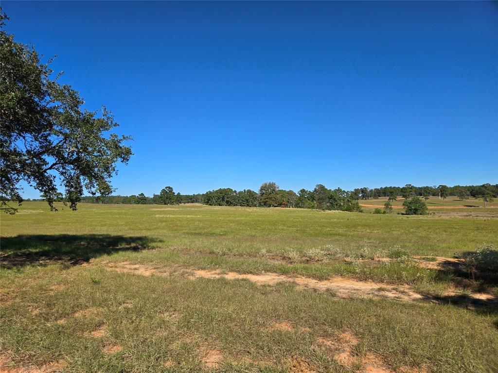 Lot 103 Lakeland Road, Hillister, Texas image 6