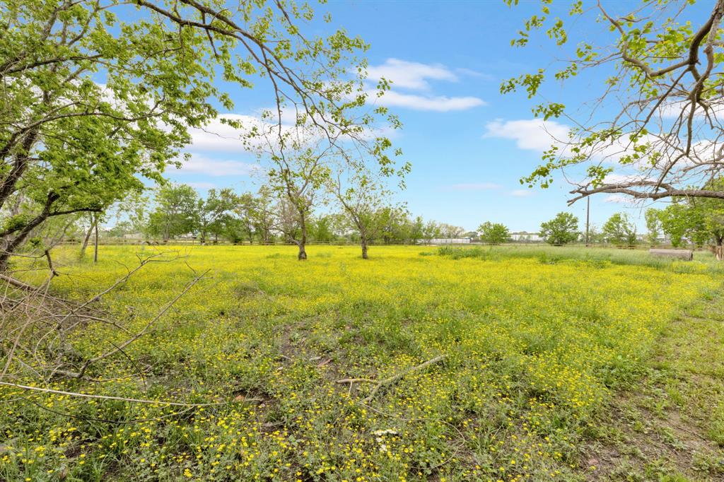 13319 Cottingham Street, Houston, Texas image 5