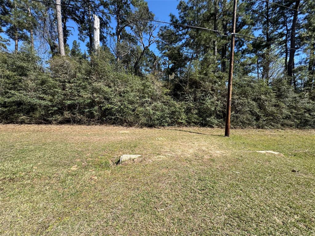 LOT 144 S Canyon Drive, Onalaska, Texas image 4