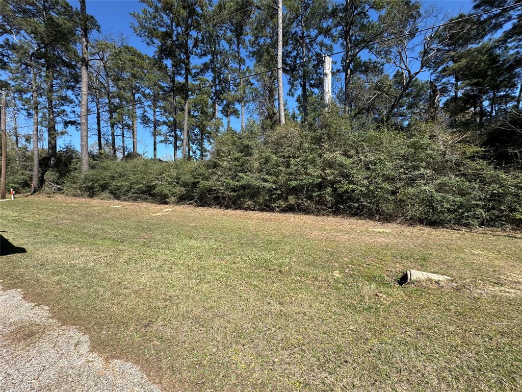 LOT 144 S Canyon Drive, Onalaska, Texas image 3