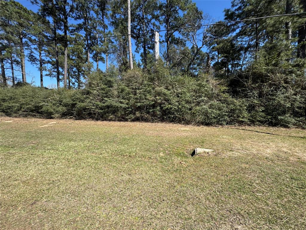 LOT 144 S Canyon Drive, Onalaska, Texas image 2