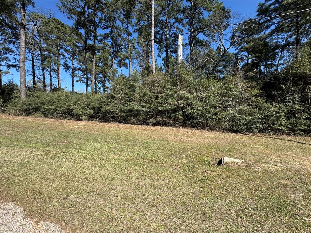 LOT 144 S Canyon Drive, Onalaska, Texas image 6