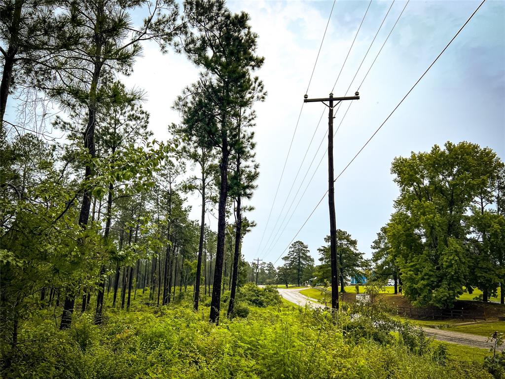 01 Cr 257, Jasper, Texas image 4