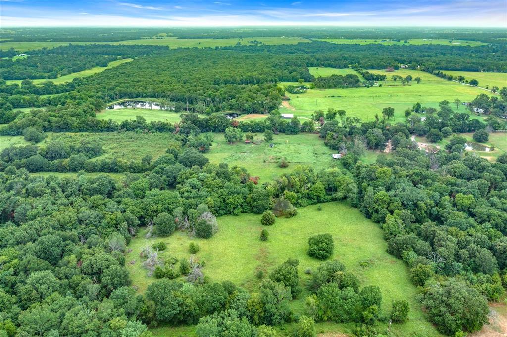 12.870+- Vz County Road 2424, Canton, Texas image 12