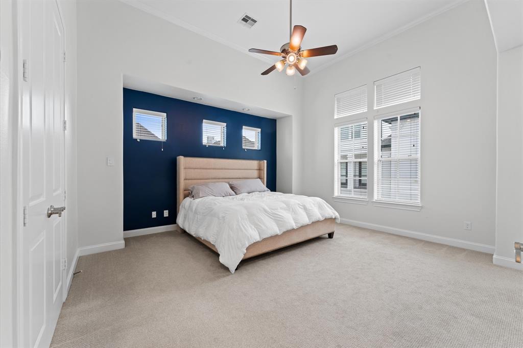 729 Live Oak Street, Houston, Texas image 16
