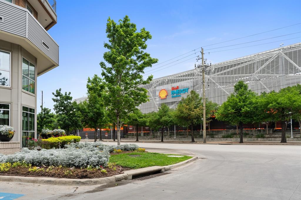 729 Live Oak Street, Houston, Texas image 30