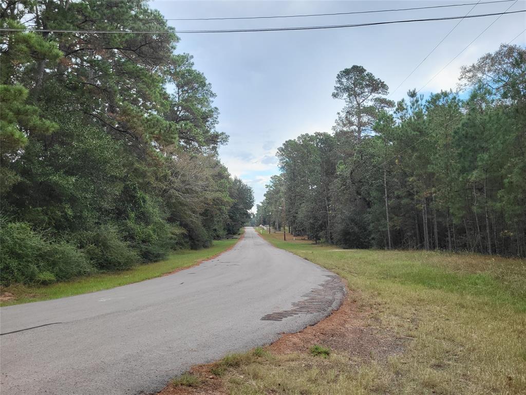 27055 Sandy Creek Crk, Magnolia, Texas image 3