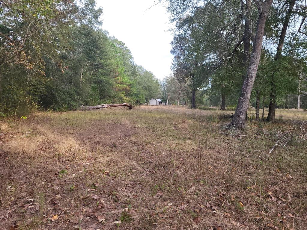 27055 Sandy Creek Crk, Magnolia, Texas image 9