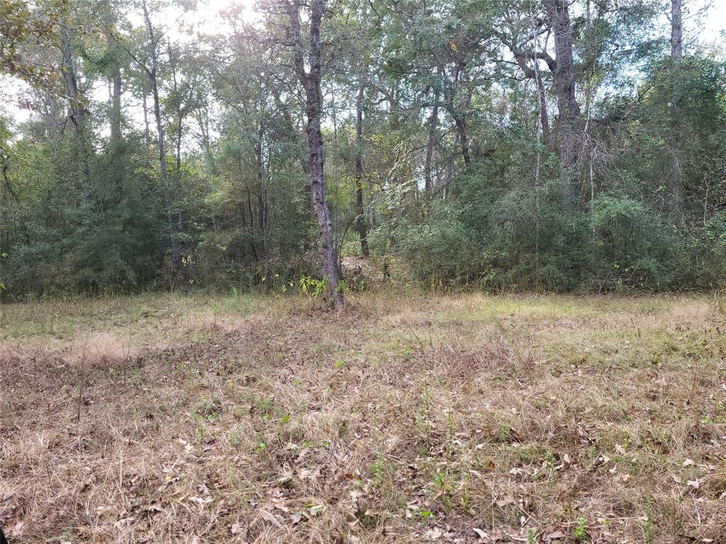 27055 Sandy Creek Crk, Magnolia, Texas image 17