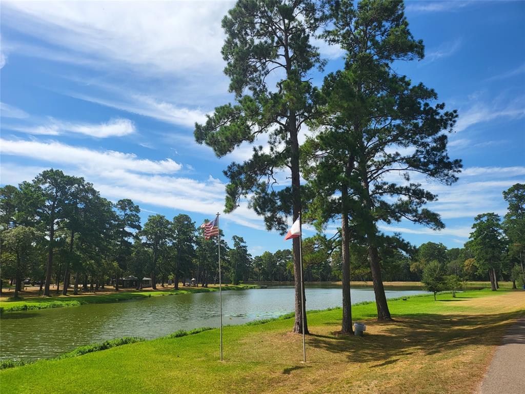 27055 Sandy Creek Crk, Magnolia, Texas image 22