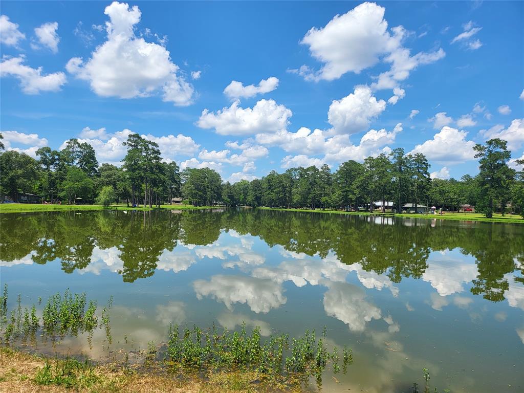 27055 Sandy Creek Crk, Magnolia, Texas image 26