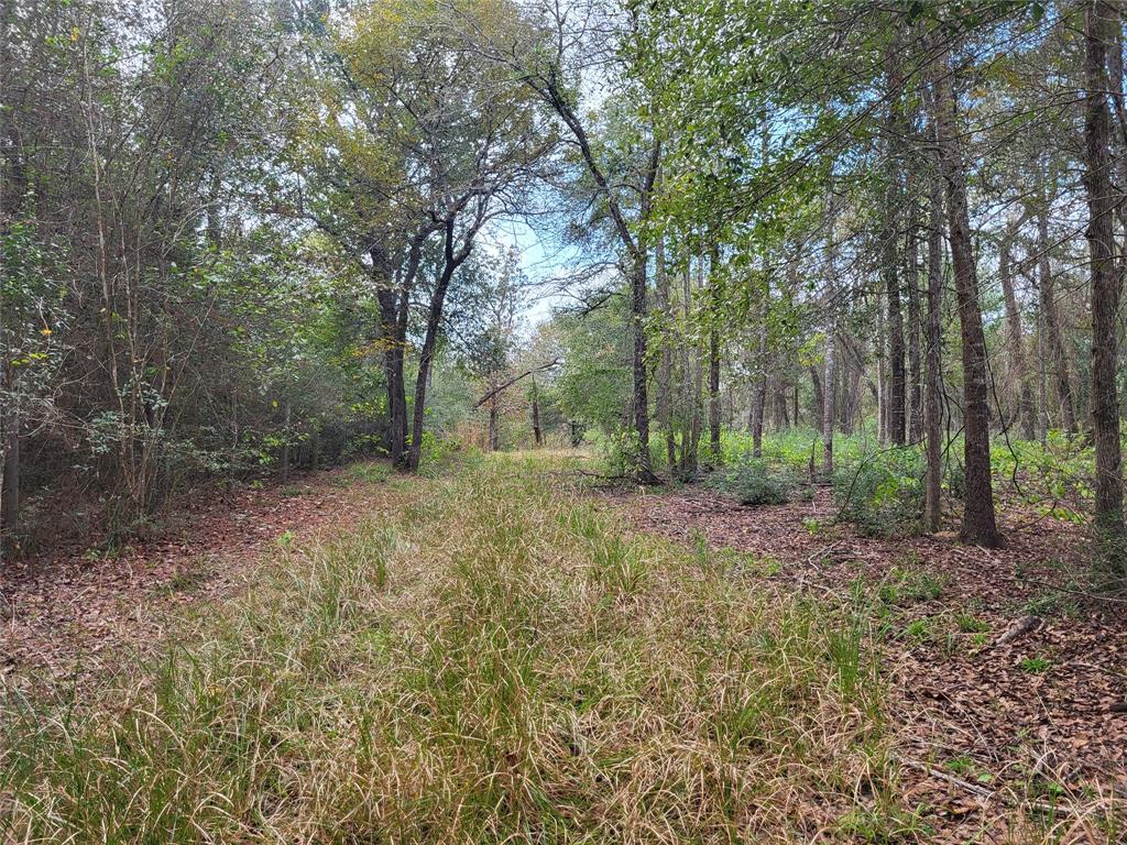 27055 Sandy Creek Crk, Magnolia, Texas image 15