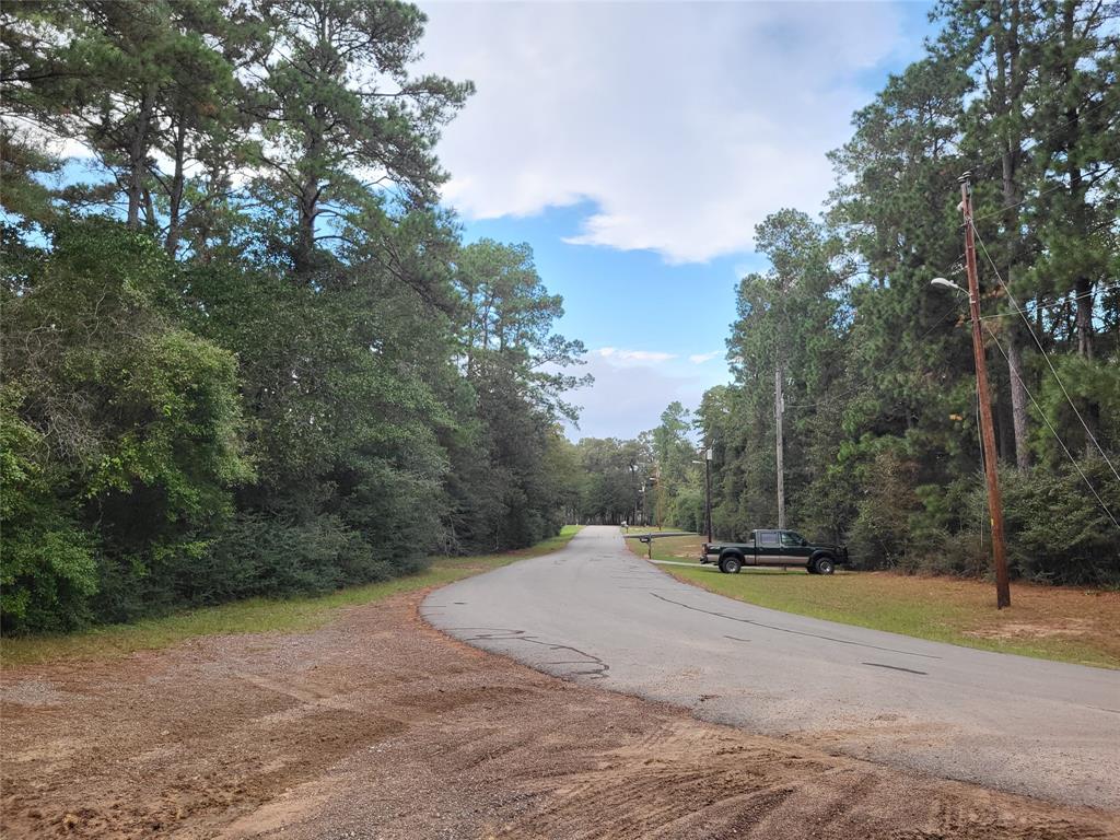27055 Sandy Creek Crk, Magnolia, Texas image 4