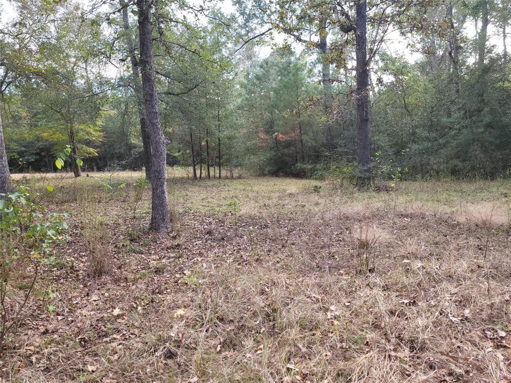 27055 Sandy Creek Crk, Magnolia, Texas image 11