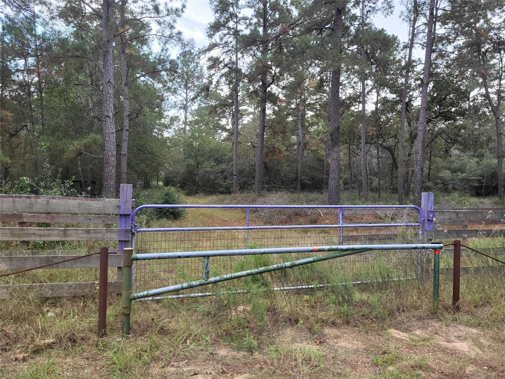 27055 Sandy Creek Crk, Magnolia, Texas image 2