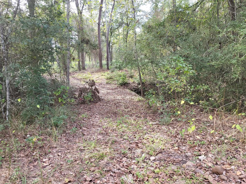 27055 Sandy Creek Crk, Magnolia, Texas image 18