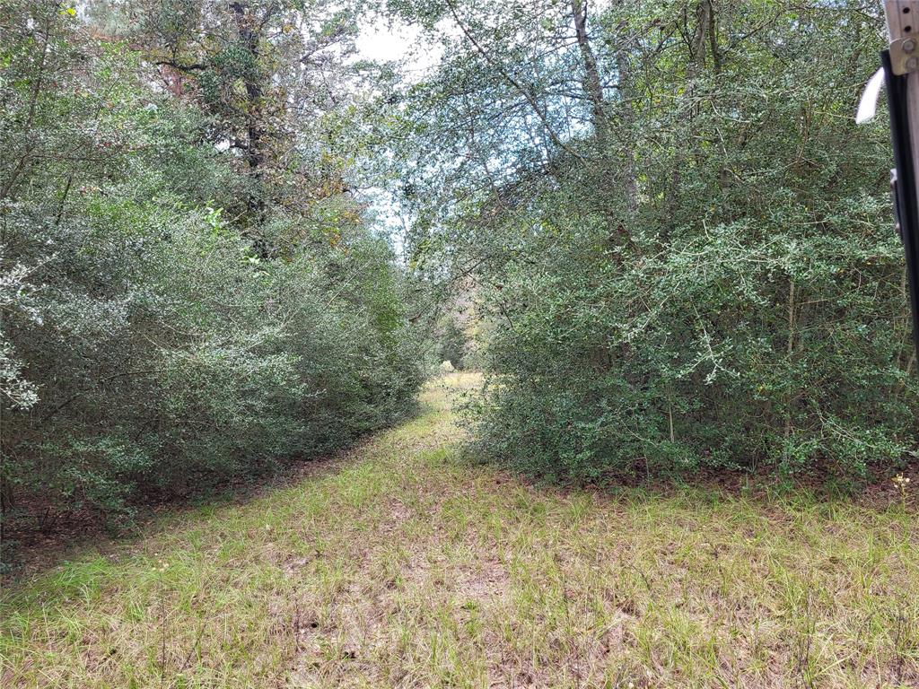 27055 Sandy Creek Crk, Magnolia, Texas image 8