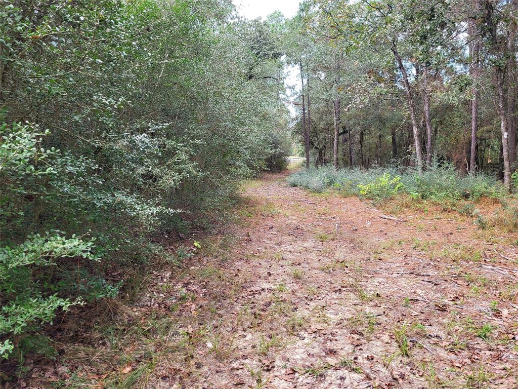 27055 Sandy Creek Crk, Magnolia, Texas image 21