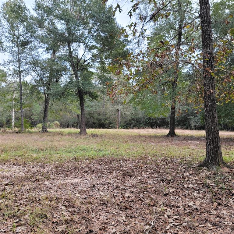 27055 Sandy Creek Crk, Magnolia, Texas image 10
