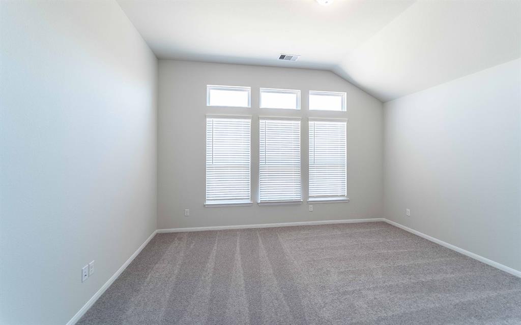 649 Canadian Trail, Dayton, Texas image 10