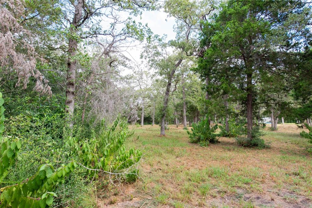 TBD Grape Cir -1 Acres, Somerville, Texas image 6