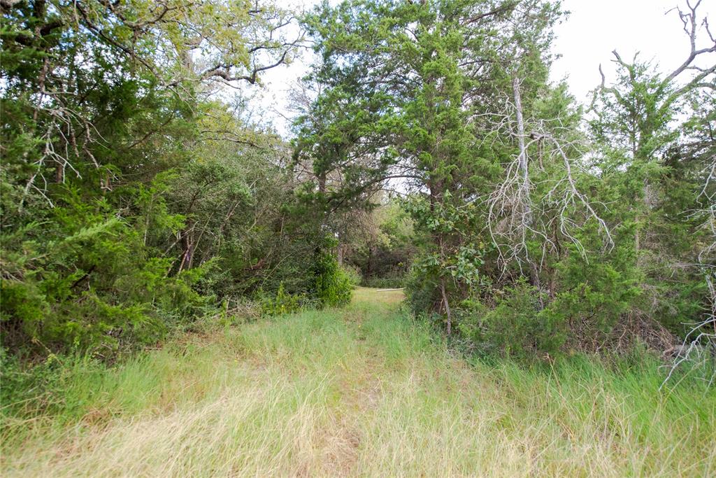 TBD Grape Cir -1 Acres, Somerville, Texas image 7