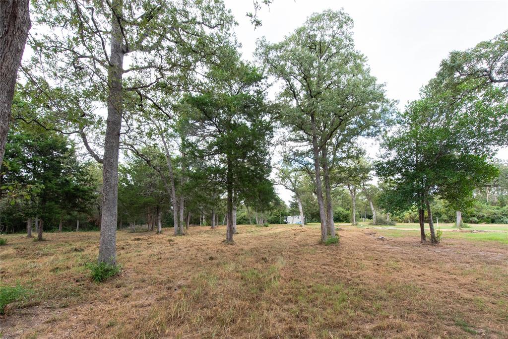 TBD Grape Cir -1 Acres, Somerville, Texas image 8