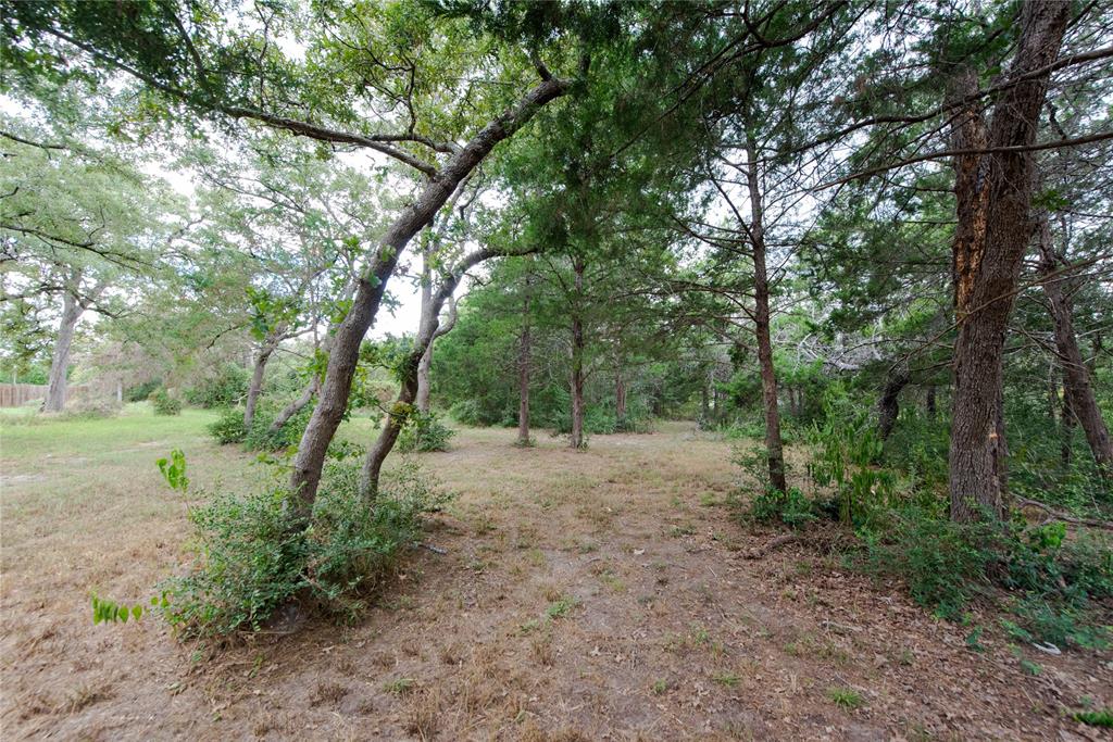 TBD Grape Cir -1 Acres, Somerville, Texas image 4