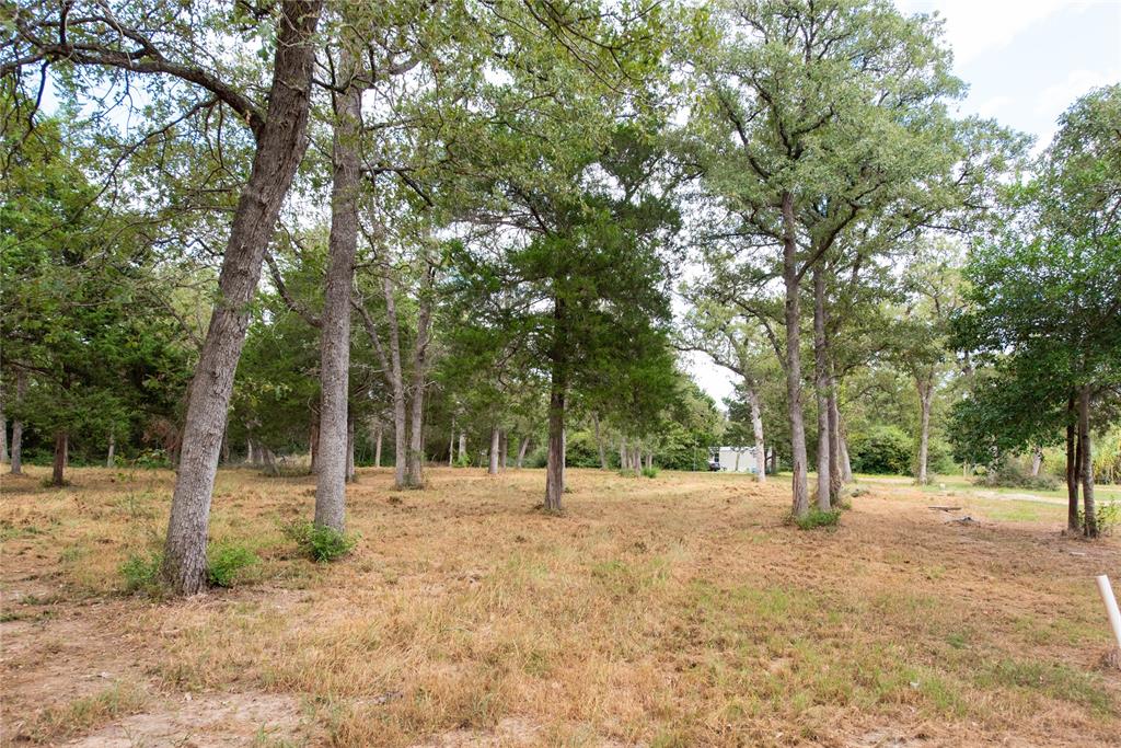 TBD Grape Cir -1 Acres, Somerville, Texas image 3