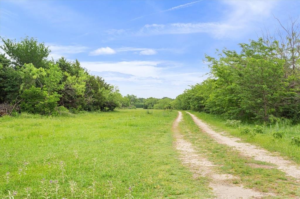 1300 Fm 3119, Mexia, Texas image 9
